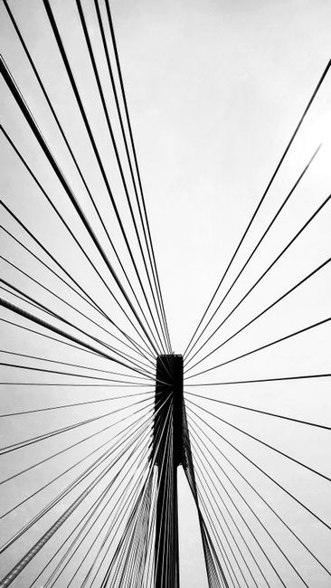 Black and white photo of a bridge's steel cables creating a modern architectural pattern.