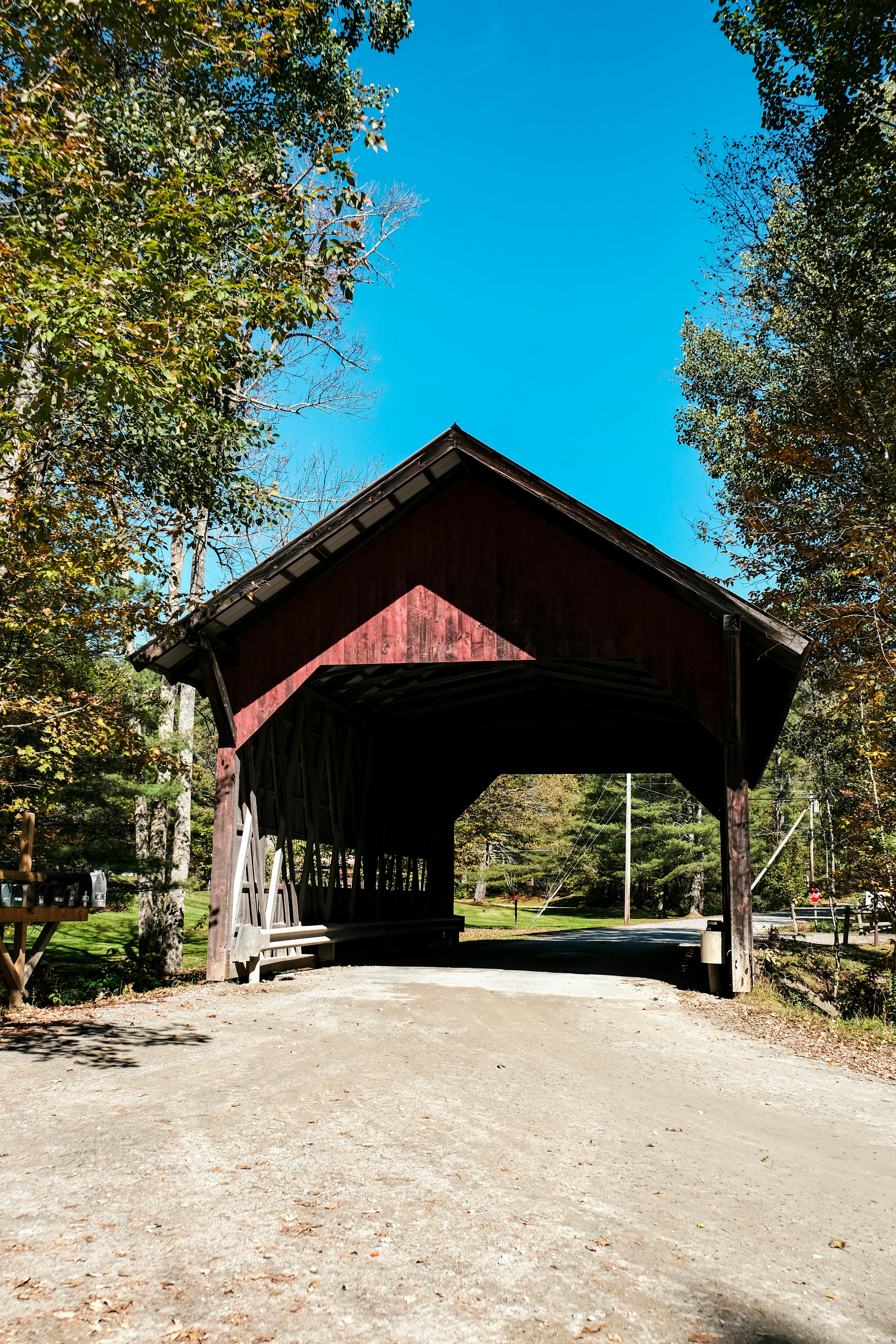 Vermont state park campsite with trees and a picnic table