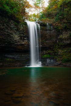 A tranquil waterfall cascading into a clear pool surrounded by vibrant foliage.