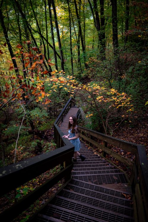 Free A young woman walks up a forest trail surrounded by vibrant autumn foliage. Stock Photo
