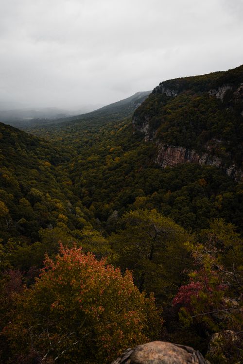 Free A breathtaking view of a lush mountain valley in autumn with misty skies and colorful foliage. Stock Photo