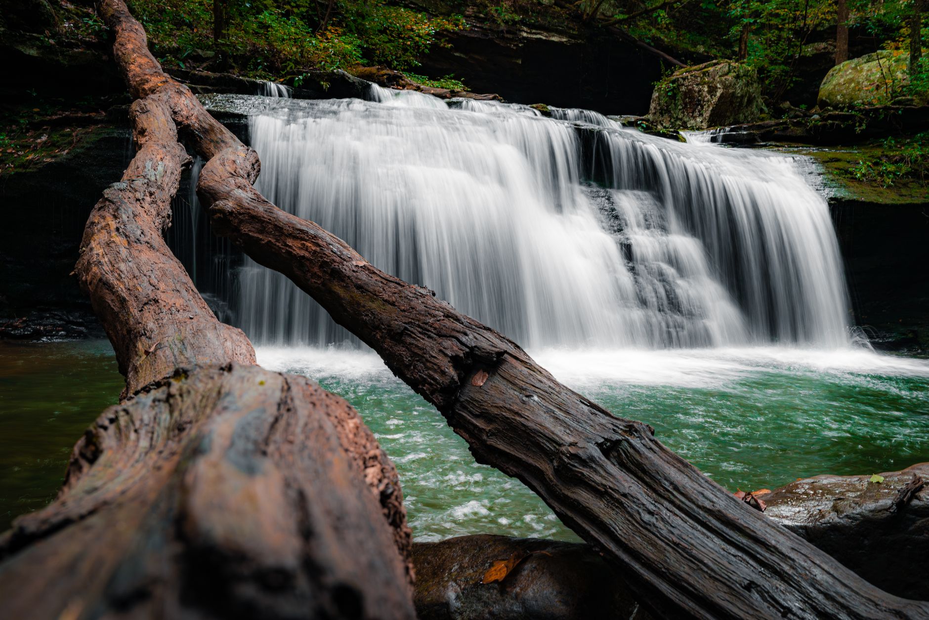 Beautiful waterfall cascading into a clear pool surrounded by vibrant green forest, highlighting nature's tranquility.