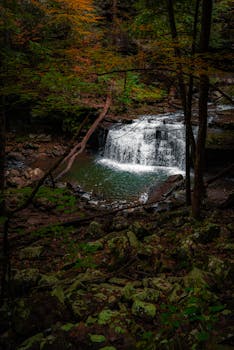 A beautiful waterfall cascades through a lush forest in autumn, surrounded by colorful foliage.
