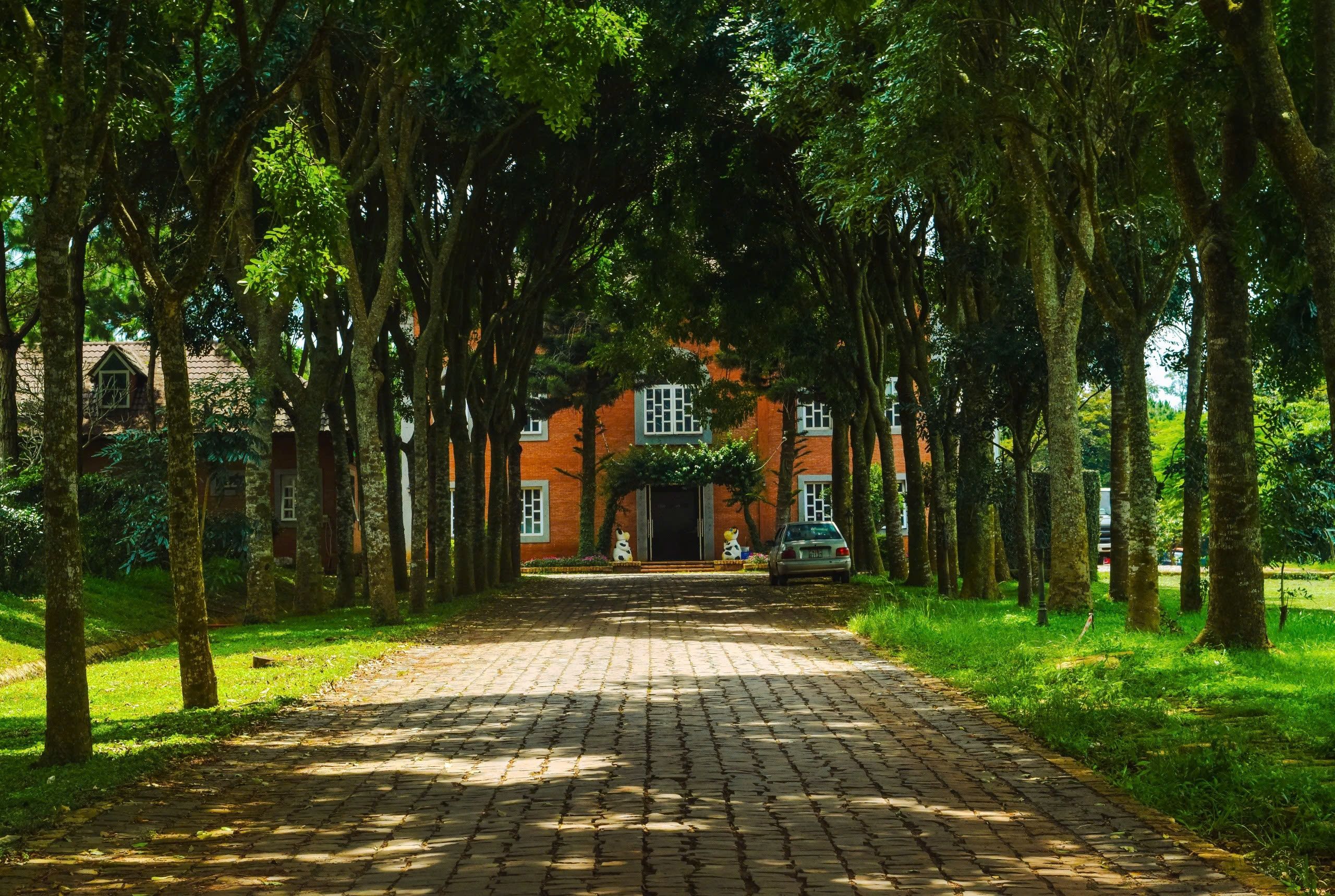 Best Places to Stay in Coorg: Neighbourhoods and Accommodation Types