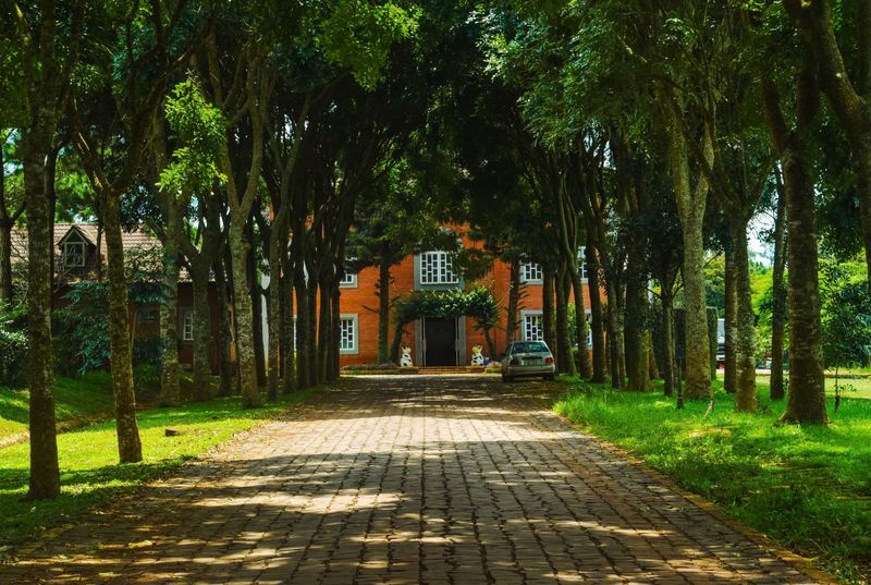 Brick-paved driveway leading to a home