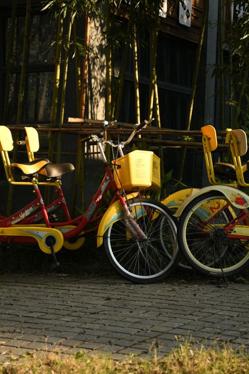 Free A vibrant pair of red and yellow tandem bicycles parked outdoors surrounded by bamboo. Stock Photo