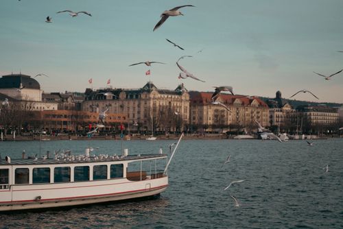 Free Scenic view of a boat on a lake with seagulls flying overhead, cityscape in the background. Stock Photo