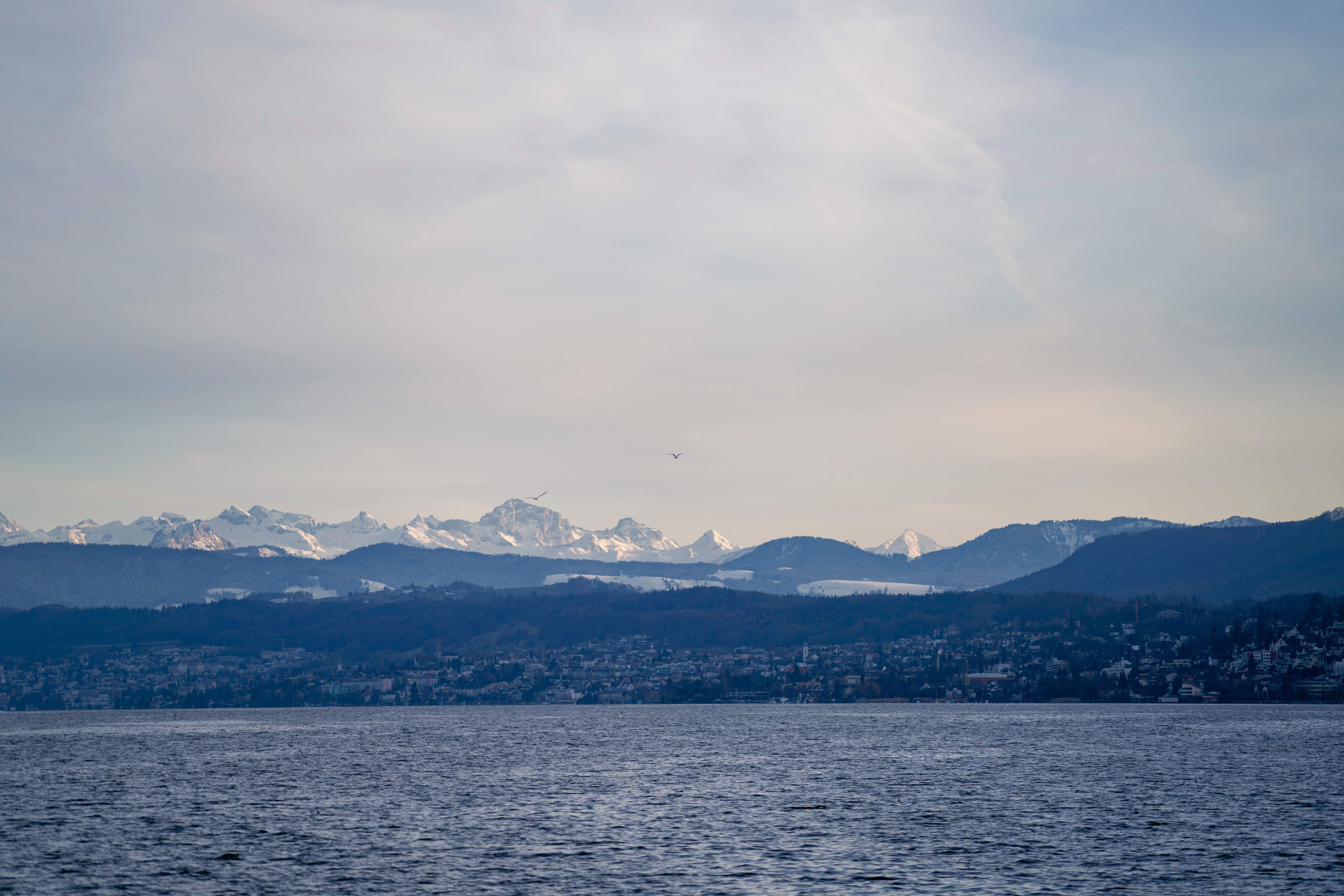 Scenic View of Swiss Alps and Lake Zurich · Free Stock Photo