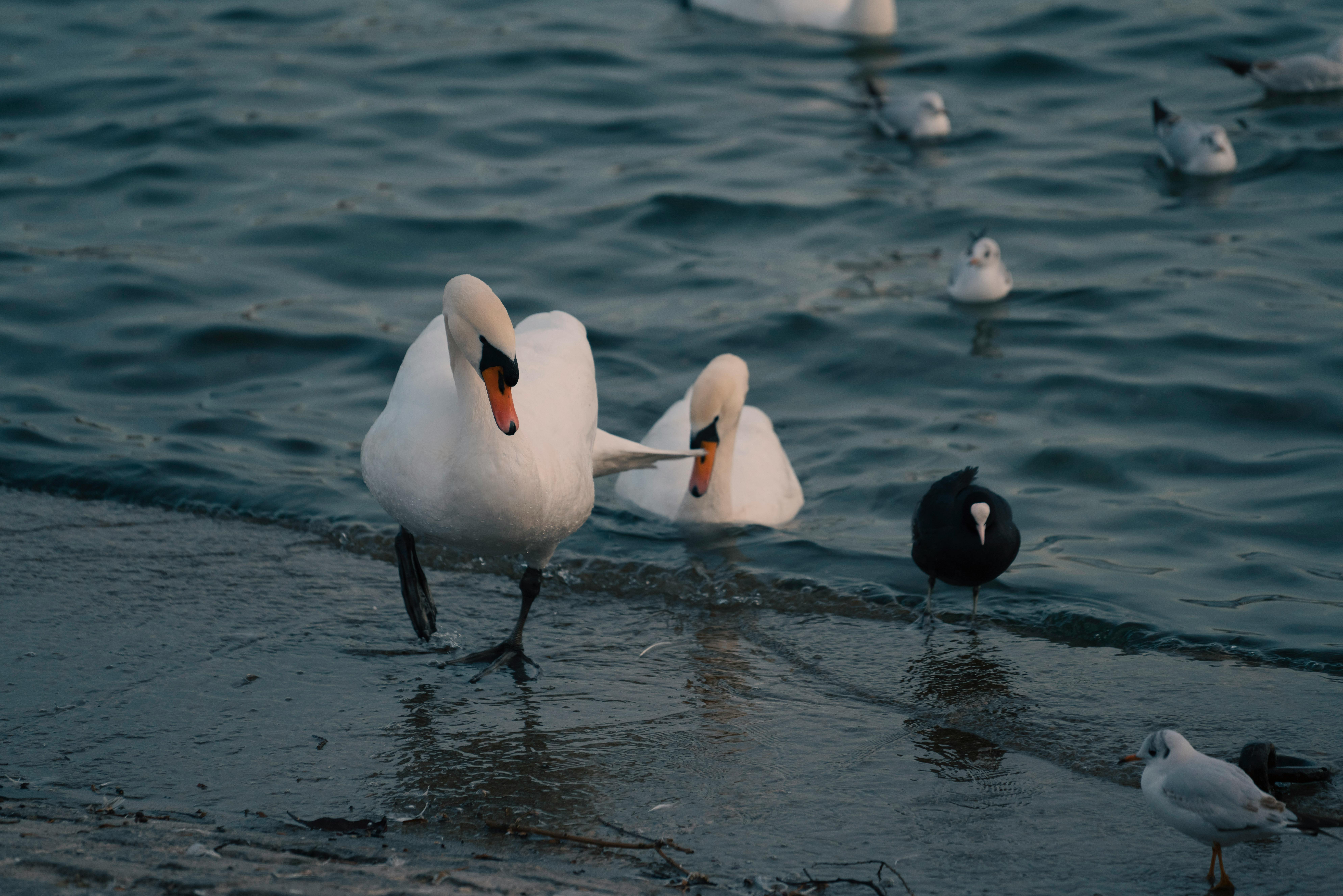 Feedly App Interface