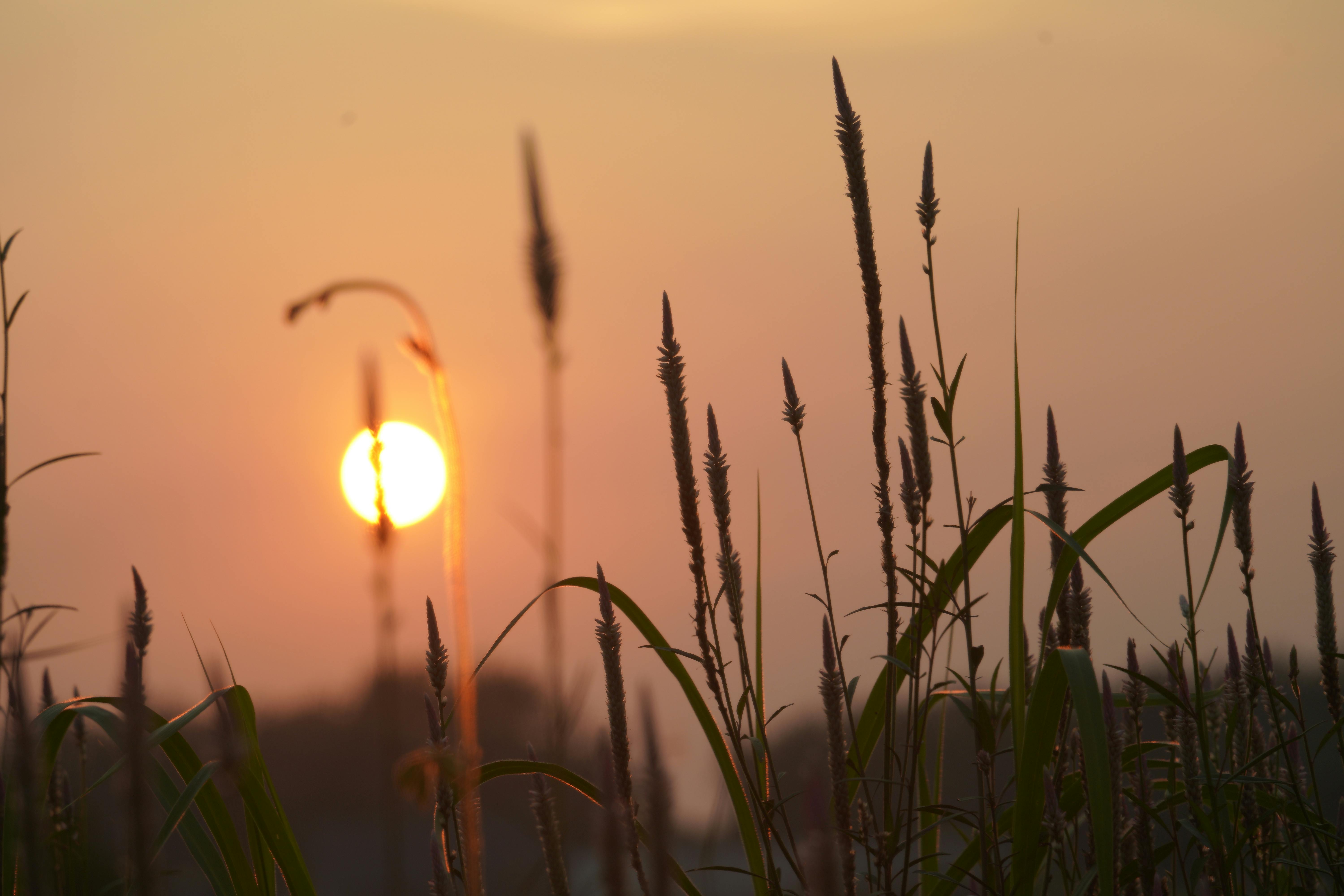 Cómo configurar Shopify desde cero y dejar tu tienda lista para vender