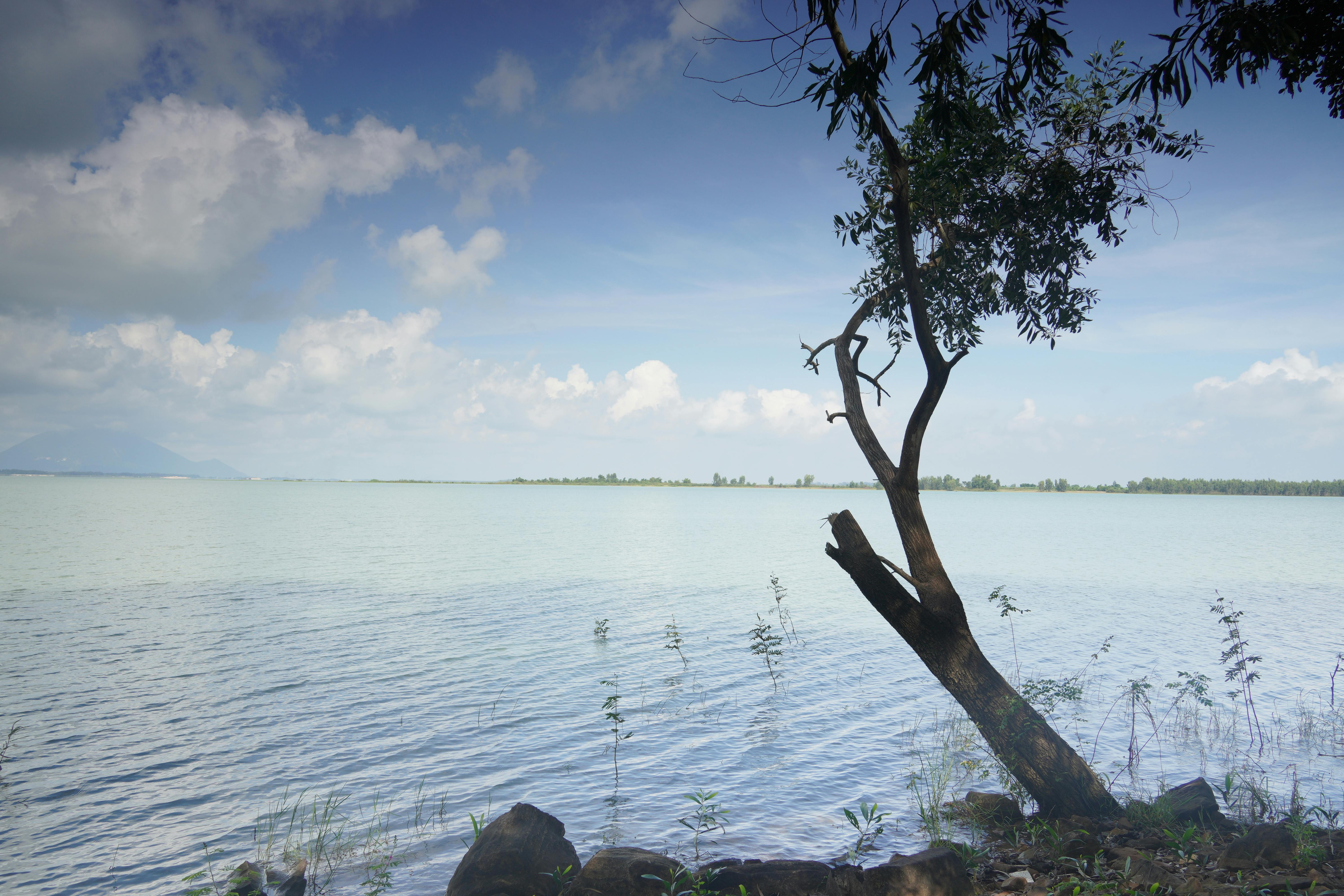 CRUD en programación (2026): cómo entenderlo de verdad y usarlo en proyectos reales