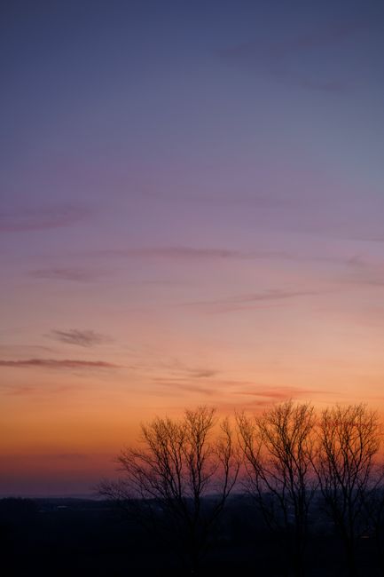 Beautiful sunset with silhouetted trees in Çatalca, İstanbul, Türkiye. Warm and peaceful evening landscape.