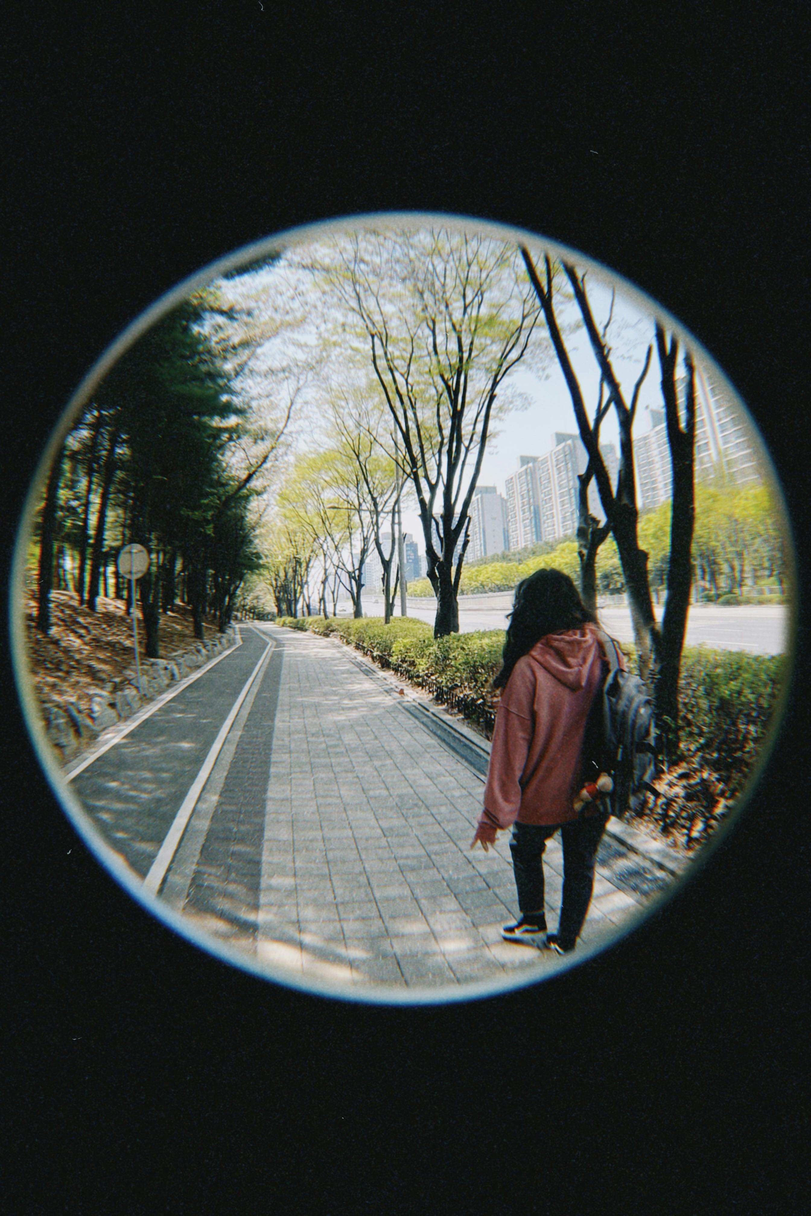 A person walks along a tree-lined pathway in Incheon, South Korea, captured with a fish-eye lens.