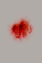 Surreal Red-Hued Abstract Portrait