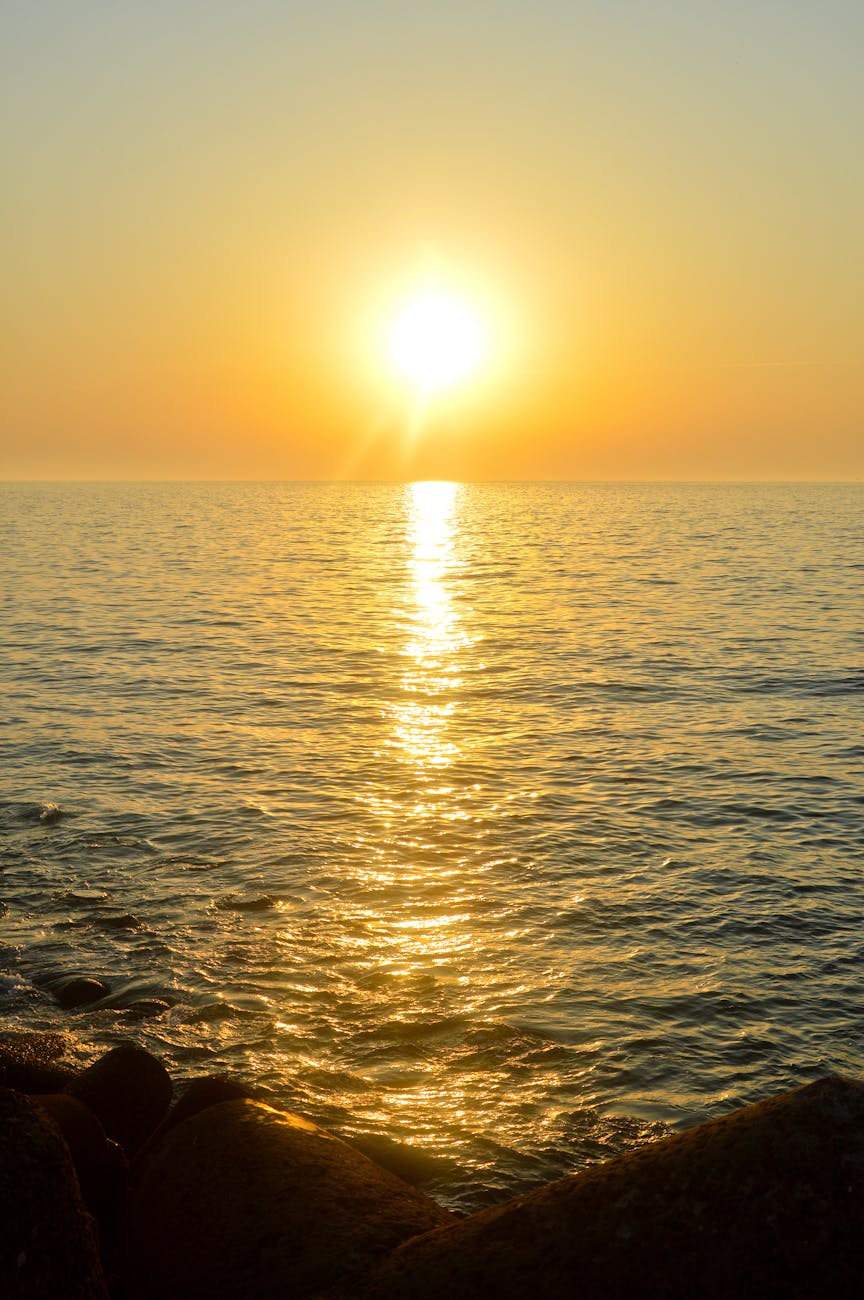 아실라 갤러리 이미지