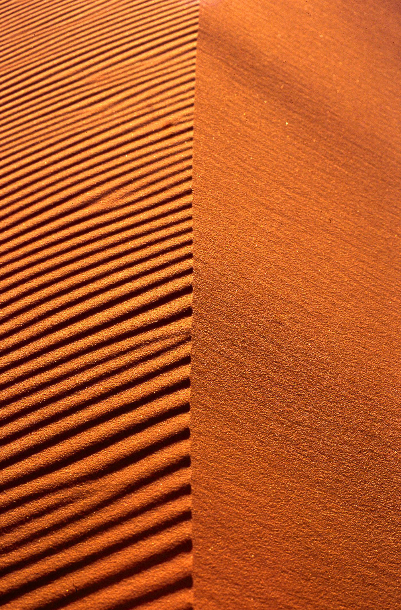 Merzouga — Sahara sand dunes — Morocco