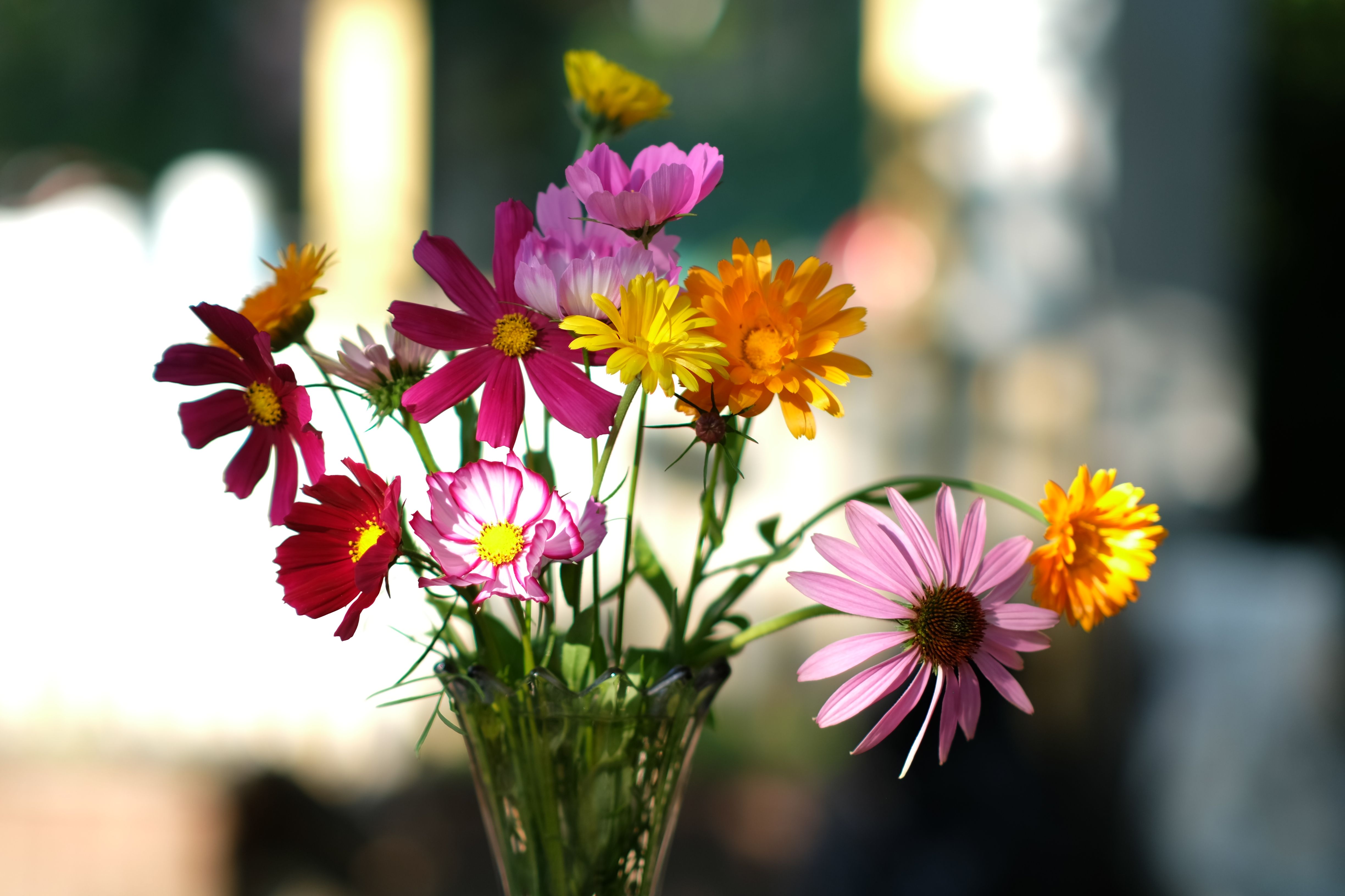 [ColoSach]-a-beautiful-arrangement-of-vibrant-wildflowers-in-a-glass-vase-against-a-blurred-background.
