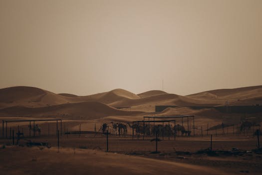Photo by Eslam Mohammed Abdelmaksoud