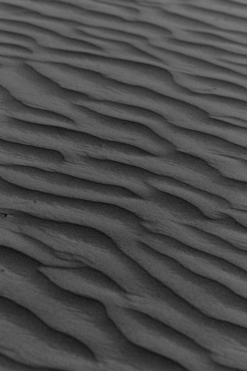 Free Black and white photo depicting sand ripples in the Al Ain desert, UAE. Stock Photo