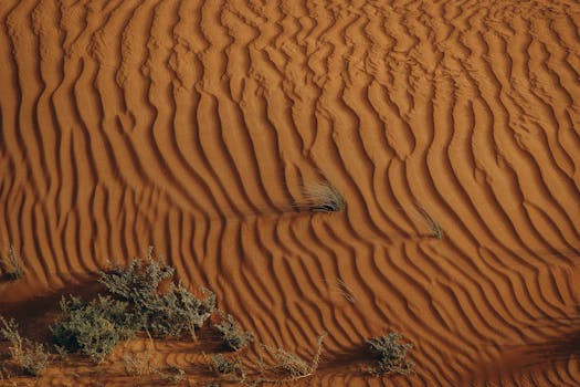 Aerial view of mesmerizing sand dunes and vegetation in Al Ain, UAE desert.