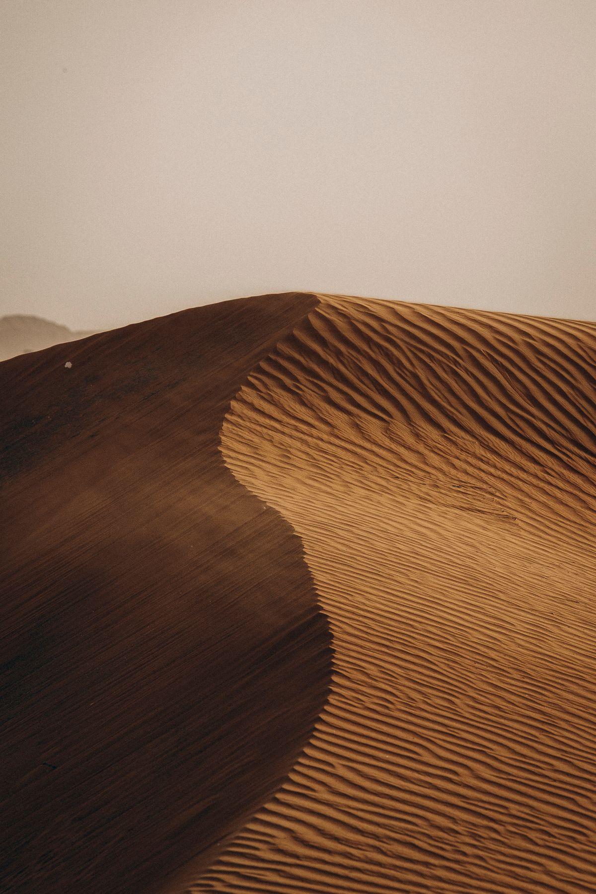 The UAE's Most Exciting Emerging Artists — And How to Buy Their Work