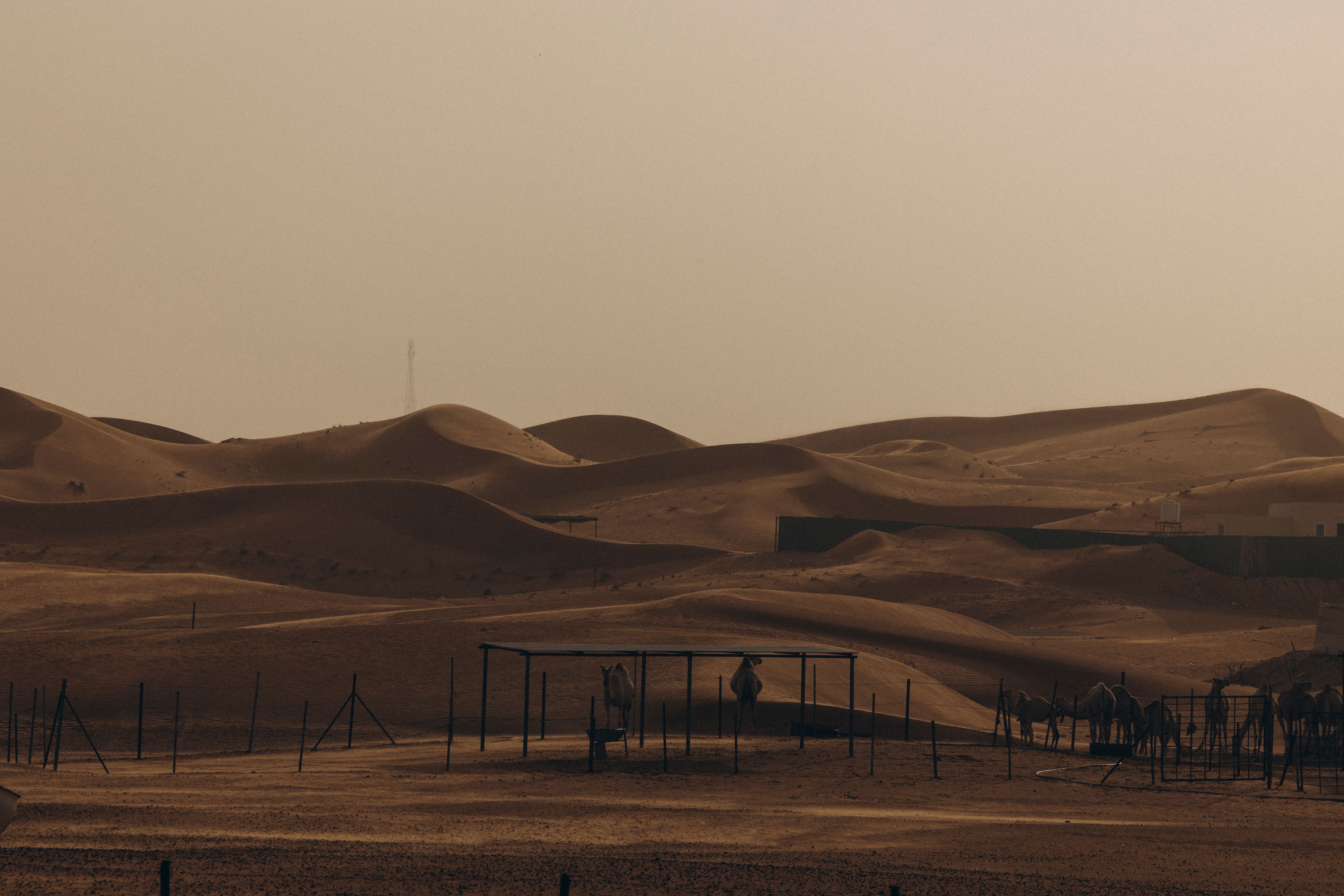 Beautiful Desert Landscape in Al Ain UAE · Free Stock Photo