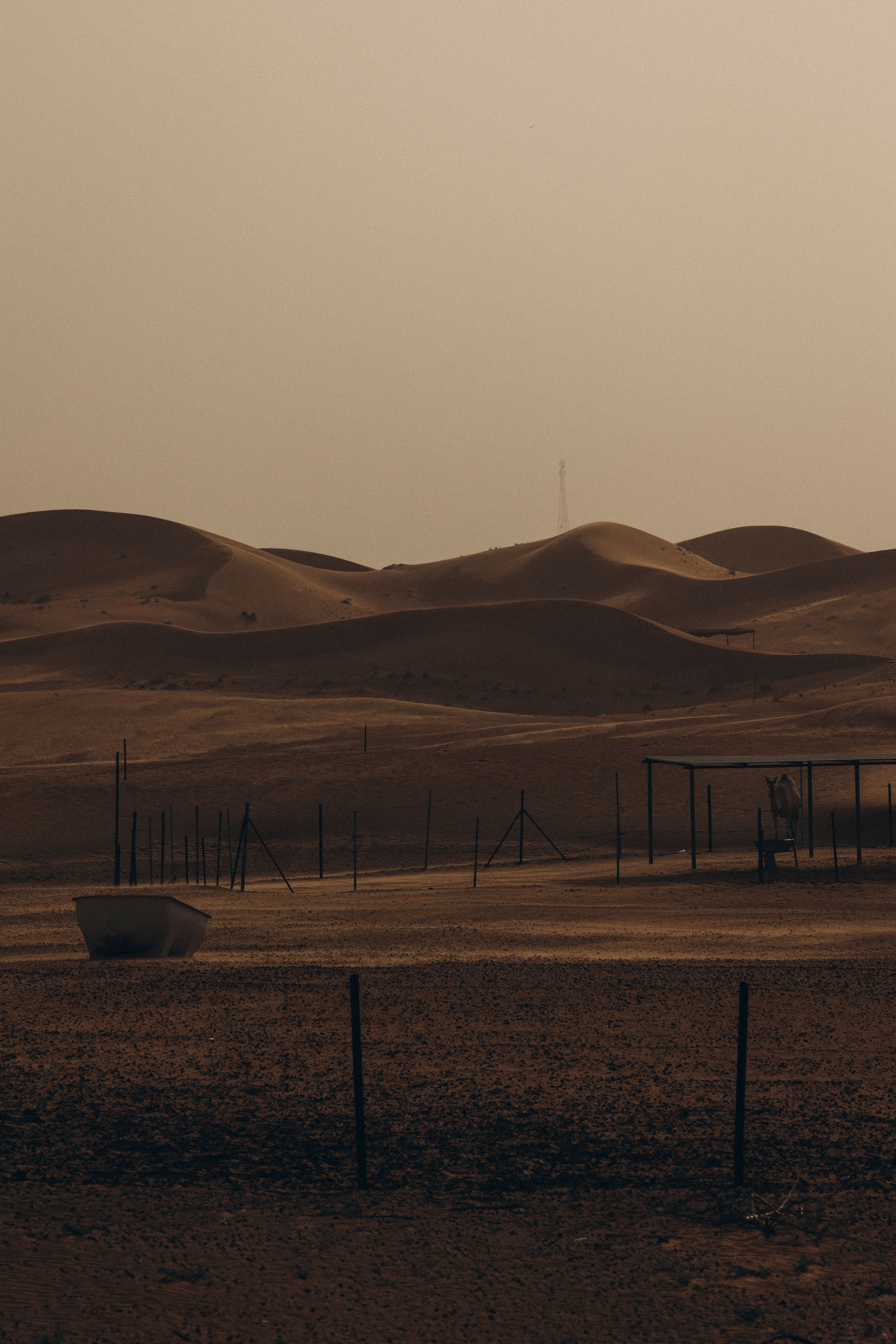 Desert Landscape in Al Ain, UAE · Free Stock Photo