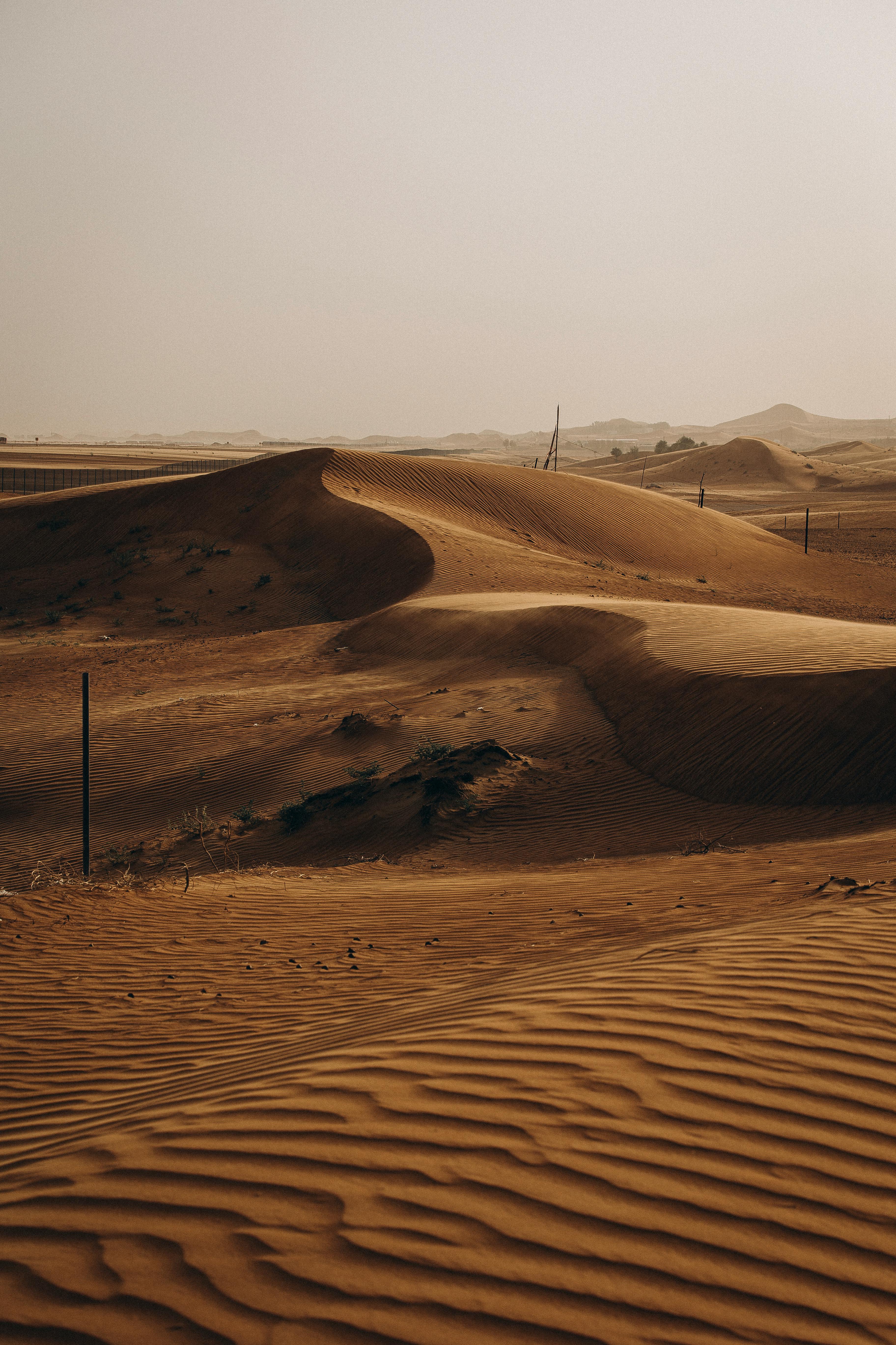 Captivating view of Al Ain's desert dunes during sunset, showcasing the beauty of UAE's natural landscape.