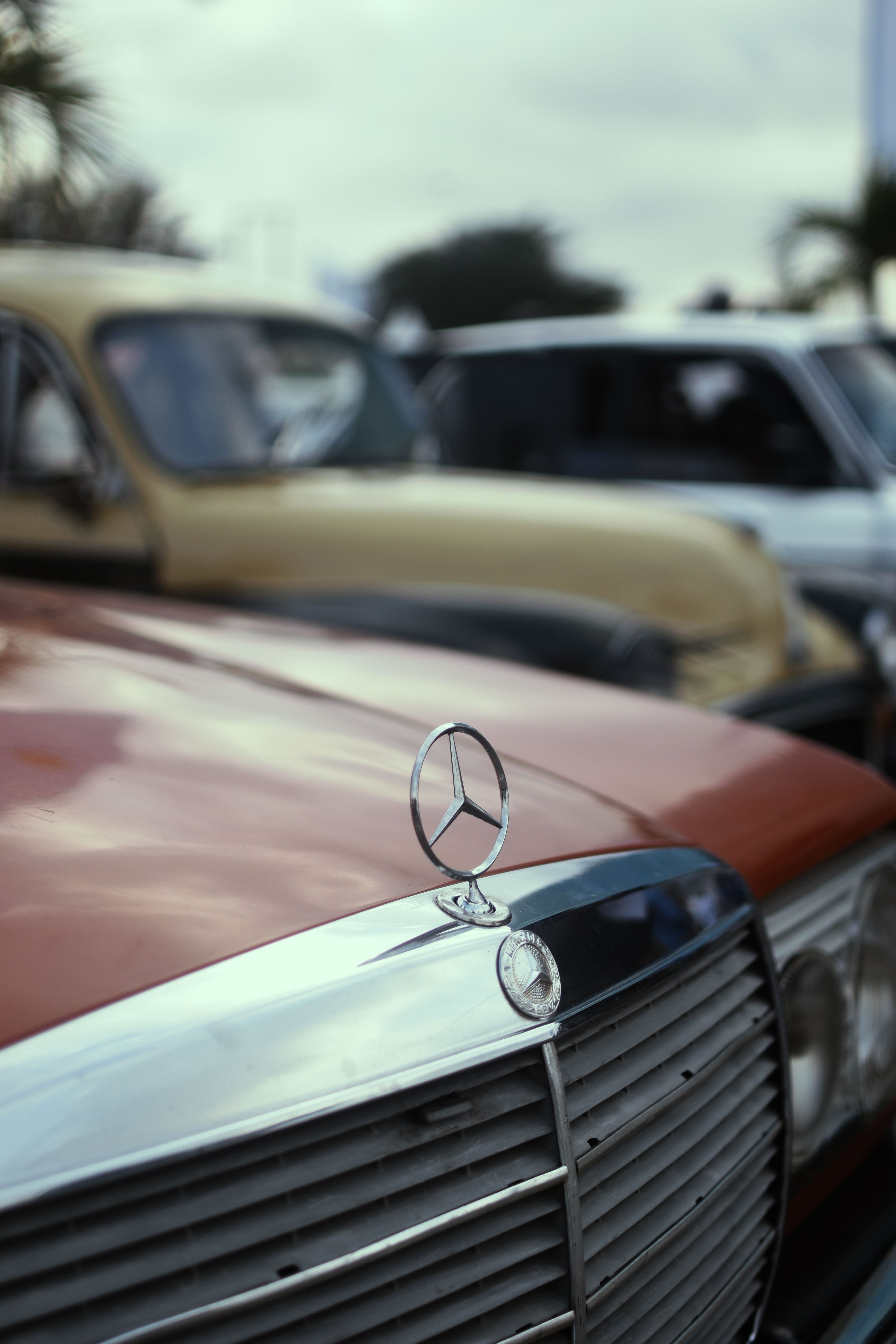 Close-up shot of a vintage Mercedes at a classic car show, showcasing the iconic emblem.