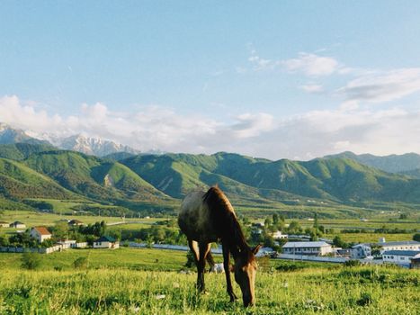 A horse grazes in the picturesque Talgar Mountains near the town of Talgar, Kazakhstan.