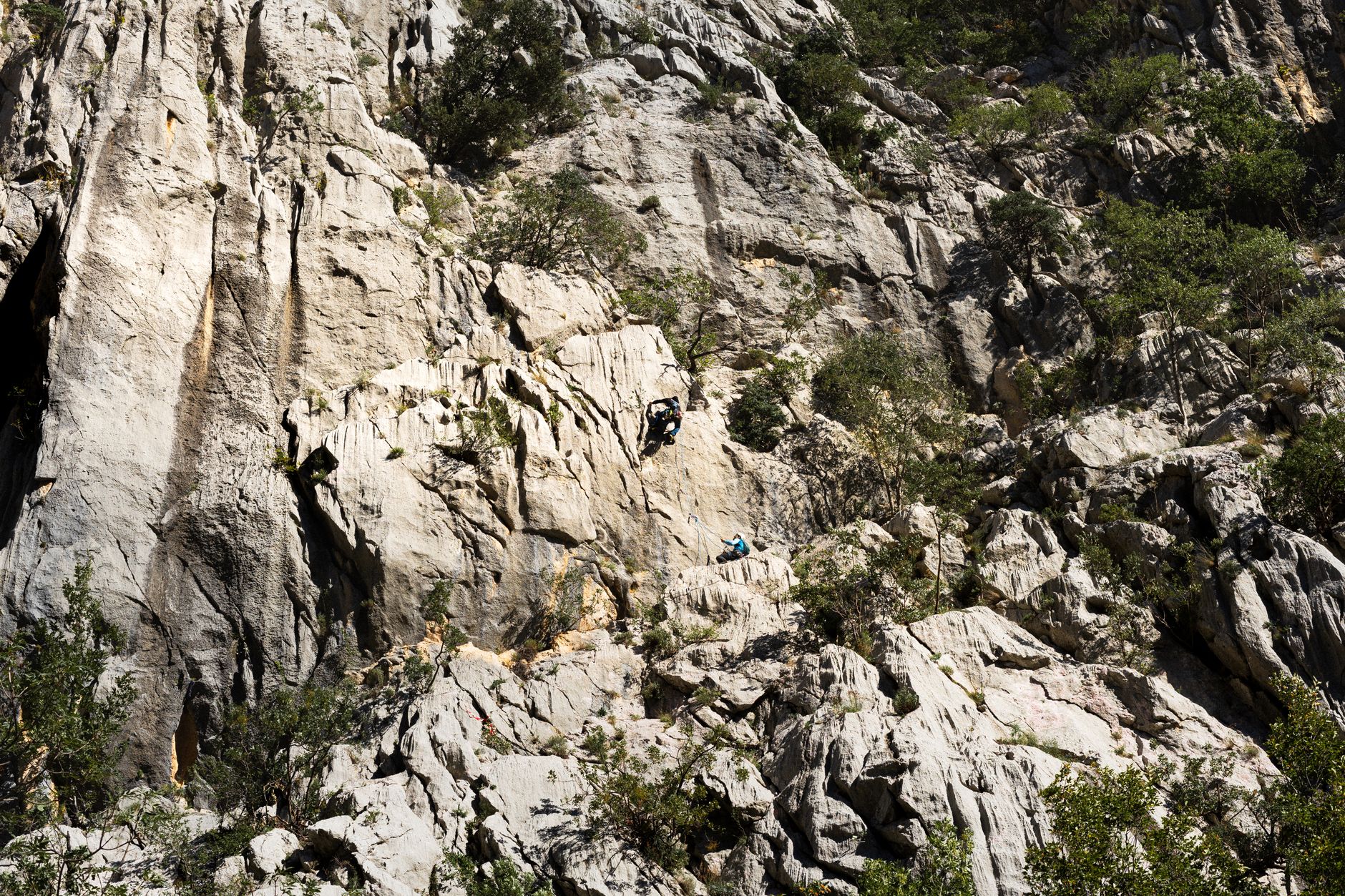 Among Climbers Caught
