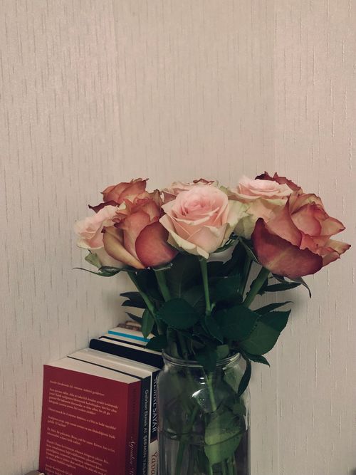 Free A beautiful arrangement of pink and red roses in a glass vase beside stacked books on a shelf. Stock Photo