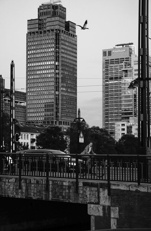 Free Black and white photo of a bicyclist crossing a bridge in Amsterdam with skyscrapers in the background. Stock Photo