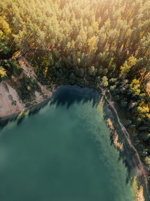 Free Aerial photo of a forest surrounding a tranquil lake in warm sunlight. Stock Photo