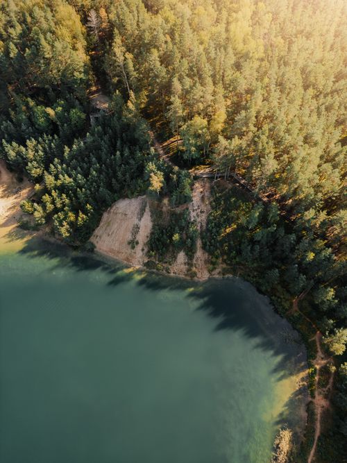 Free Aerial shot of a lush forest bordering a calm lake during the day, showcasing nature's beauty. Stock Photo
