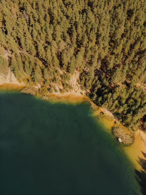 Free Aerial shot capturing the serene forest landscape alongside a picturesque lake. Stock Photo