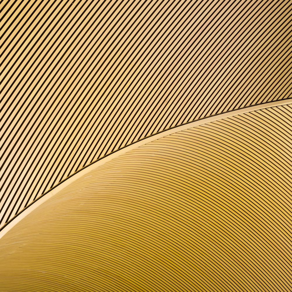 Wallpapering in St James's — woodwork brushed to a crisp, smooth line