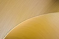 优雅的抽象图案中，弯曲的金色线条营造出时尚而流畅的设计