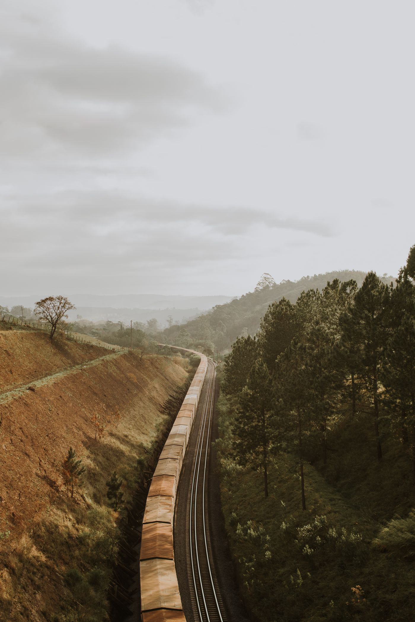 Passenger train winding through scenic countryside