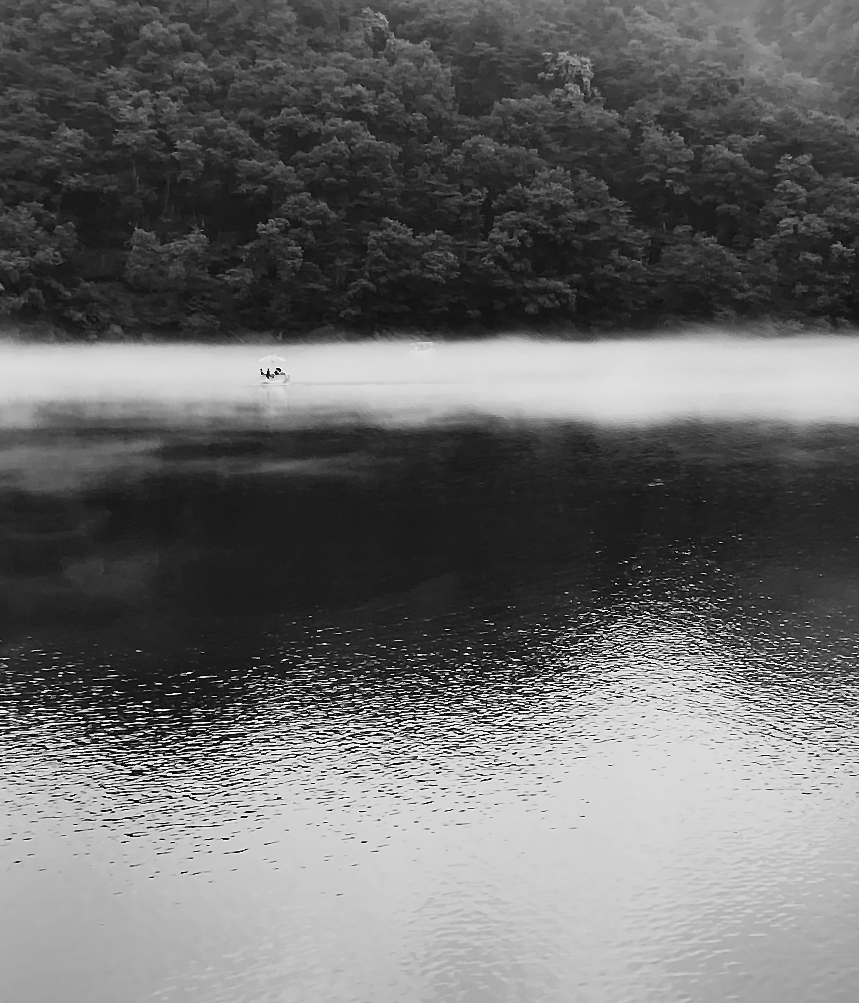 Tranquil black and white scene of a misty lake surrounded by lush trees, evoking peace and calmness.