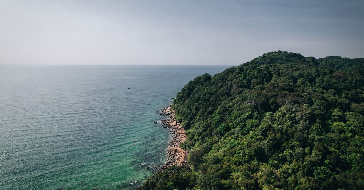 An aerial view showcasing lush green hills meeting the serene ocean shore.