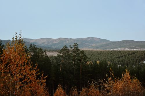 Free Breathtaking view of autumn forest with mountains in the background under a clear blue sky. Stock Photo