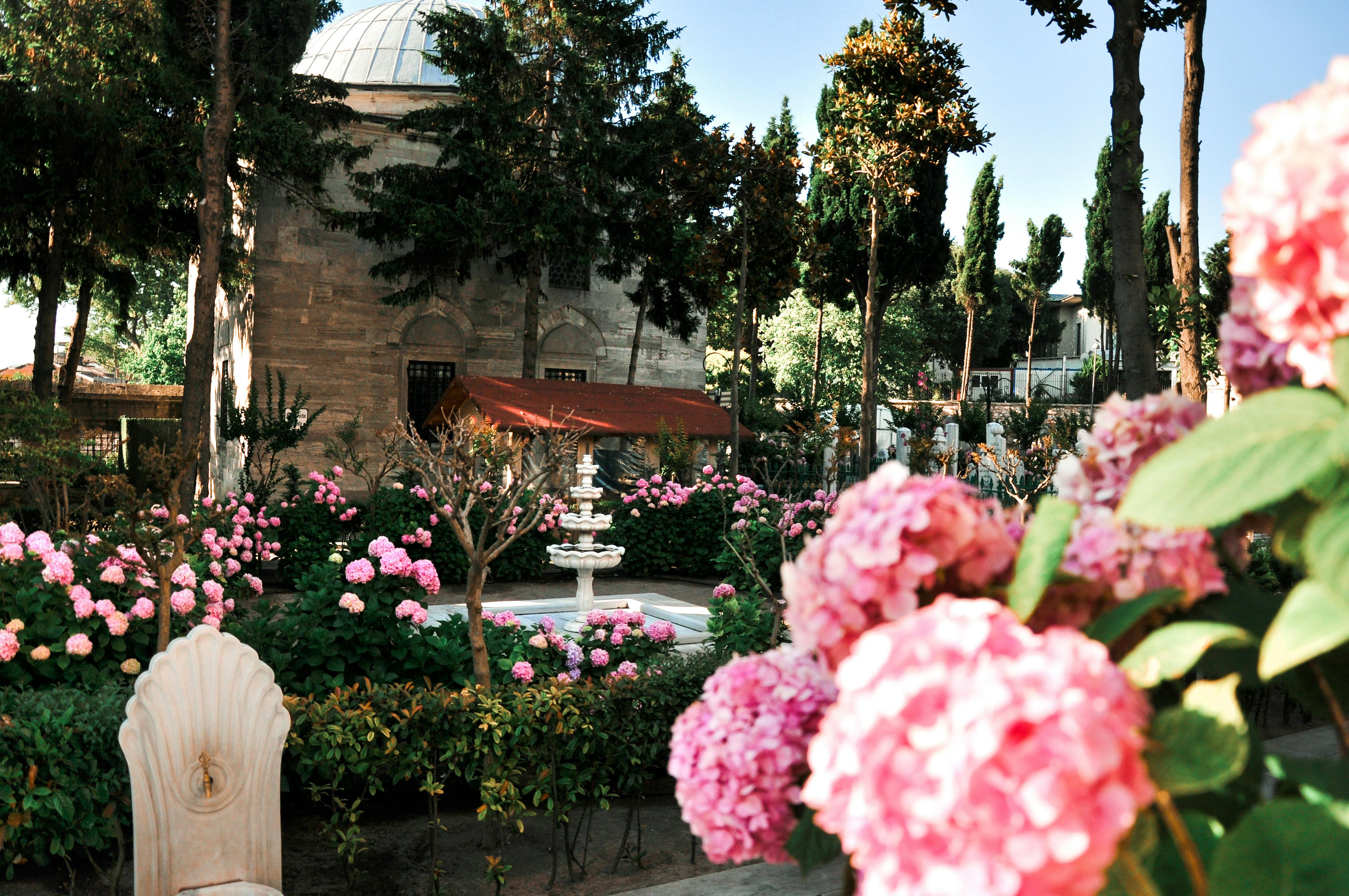 Beautiful Garden with Flowers and Ancient Architecture · Free Stock Photo