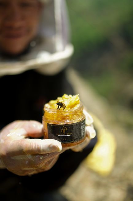 Close-up of a beekeeper in Nepal holding a jar of organic honey with a bee on it. - Introduction to Natural Sweeteners and Their Benefits