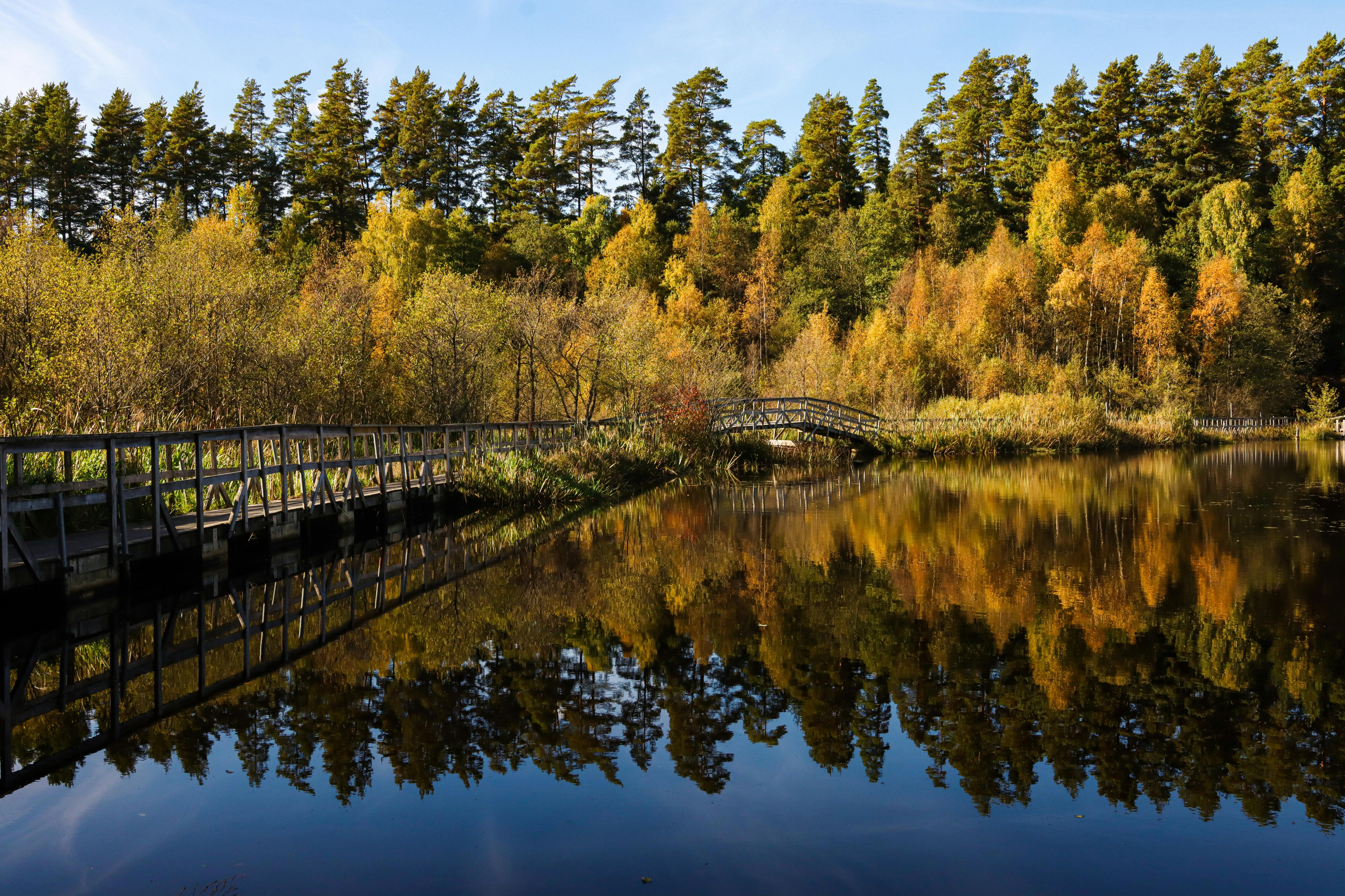 scenic autumn reflection in bankeryd sweden