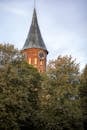 Historic Clock Tower Amidst Lush Greenery