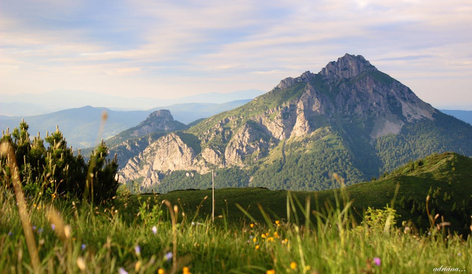 Foto d'estoc gratuïta de malà fatra, natura, naturalesa.