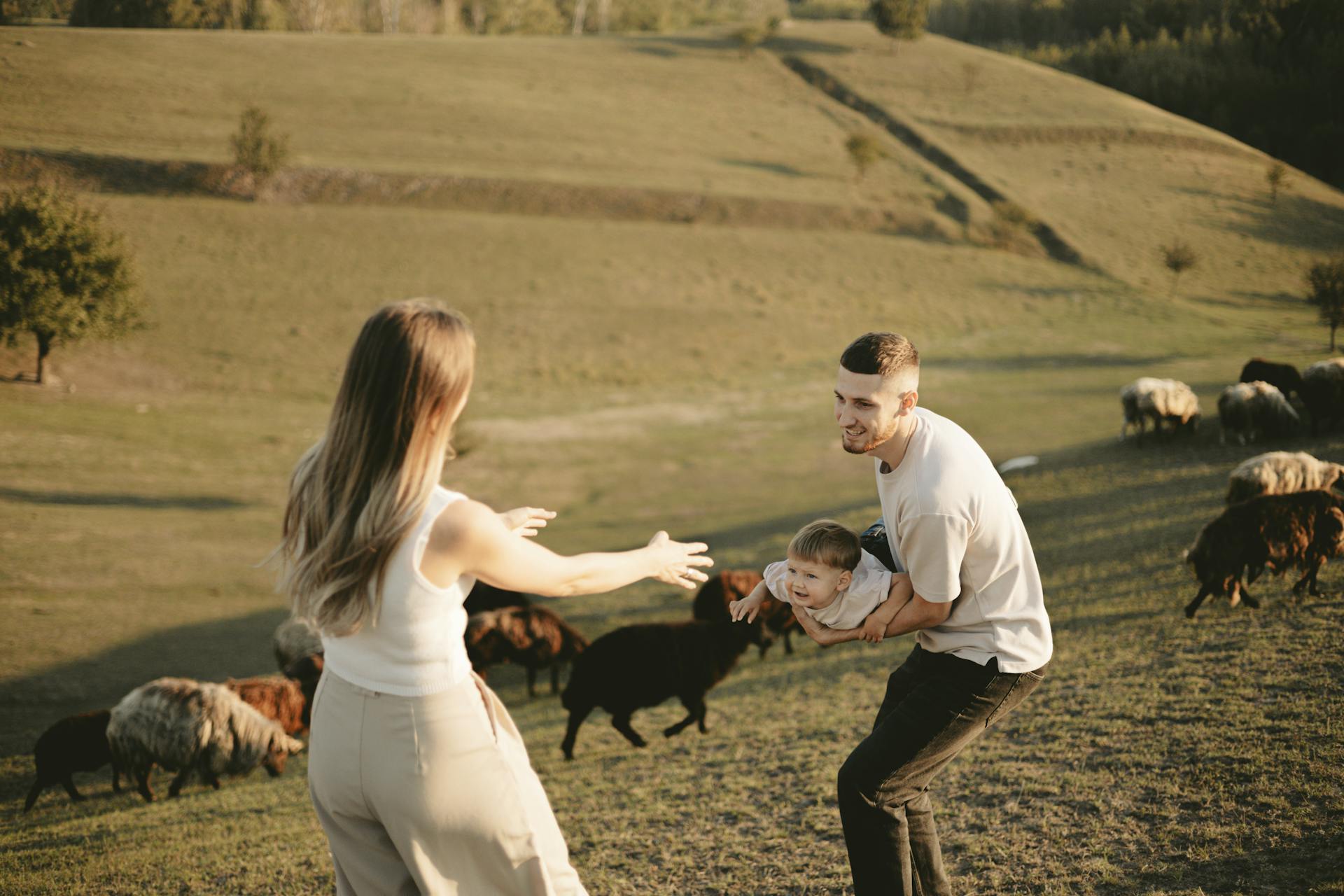 Family enjoying countryside with sheep herd