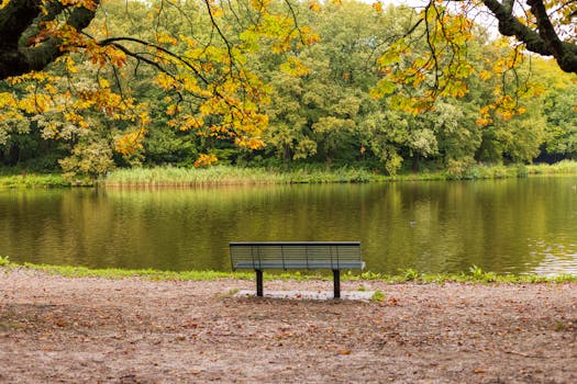 Peaceful autumn scene with a bench overlooking a lake in Den Haag park.