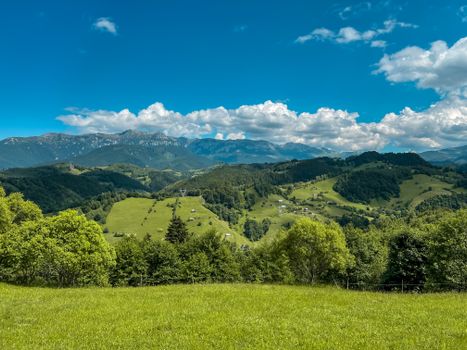 Lush green hills under blue skies in Moieciu de Sus, Romania, perfect for nature lovers.